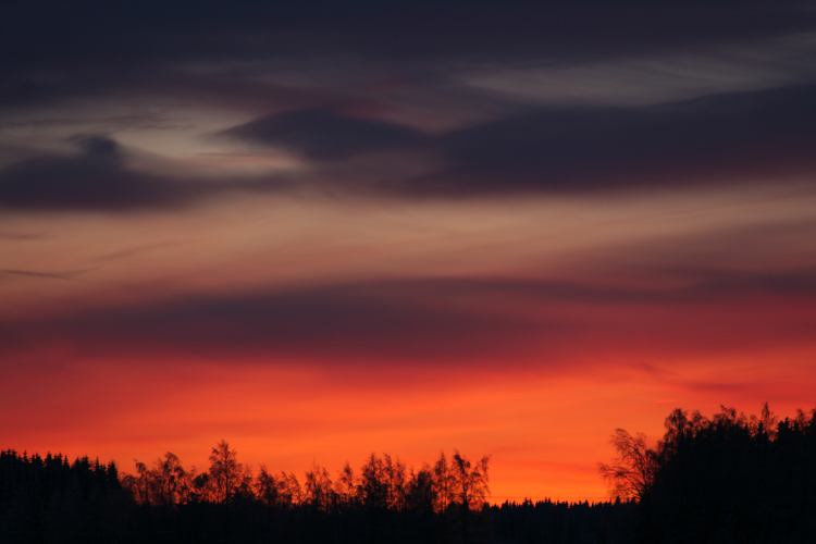 Auringon nousu 20.1.2010