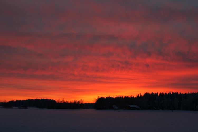 Auringon nousu 21.1.2010